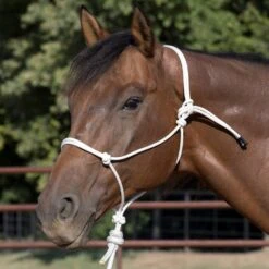 Wigwam Halter Company Premium 48-Strand Halter With 8` Lead