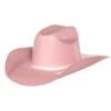 Youth M+F Twister Pink Cattlemans Crease Straw Hat -Western Cowboy Supplies 123268 default l