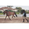 Pessoa Lunging System -Western Cowboy Supplies 129250 default l