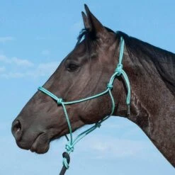 Classic Turquoise Premium Rope Halter