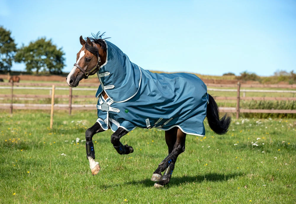 Horseware Amigo AmE 12 Plus Turnout 100g