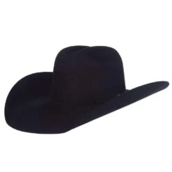 Resistol 30X Black Rough N Ready 4 1/2in. Brim Felt Cowboy Hat
