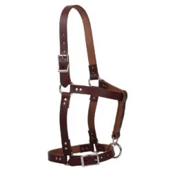 Weaver Leather Burgundy Latigo Leather Riveted Horse Halter
