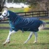 Horseware Ireland Amigo Pony Plus 50g