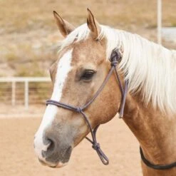 Steele Halters Average Horse Rope Halter -Western Cowboy Supplies 166289 default l