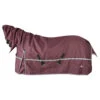 Classic 5K Cross Trainer Horse Blanket With Hood