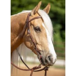 Nrs Tack Oiled Straight Browband Headstall -Western Cowboy Supplies NRS SBHO 01