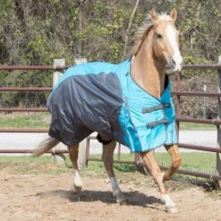 NRS New Turnout Horse Blanket -Western Cowboy Supplies NRS TSHEET Lifestyle
