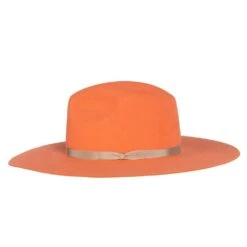 Rodeo King Coral Tracker Silvery Belly Band 4in. Brim Fashion Hat -Western Cowboy Supplies RK408 2