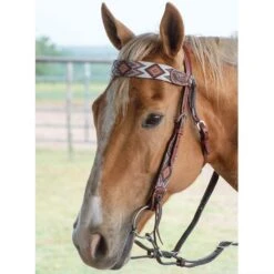 Circle Y Saddlery Infinity Beaded Browband Headstall -Western Cowboy Supplies X0221 2004 2
